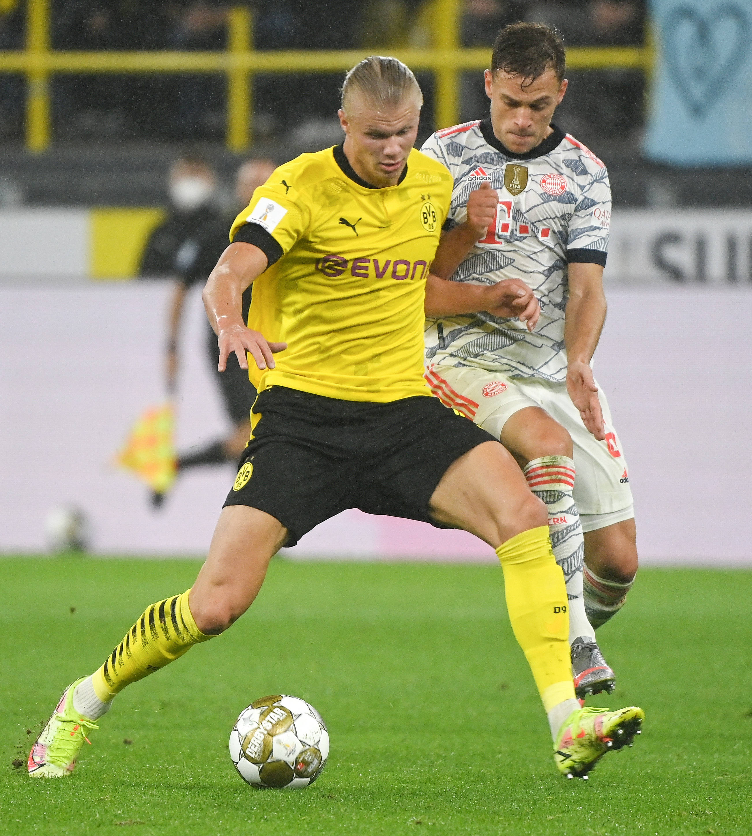 预测雄鹿险 预测雄鹿险